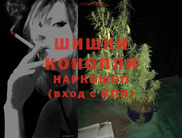 шишки Волосово