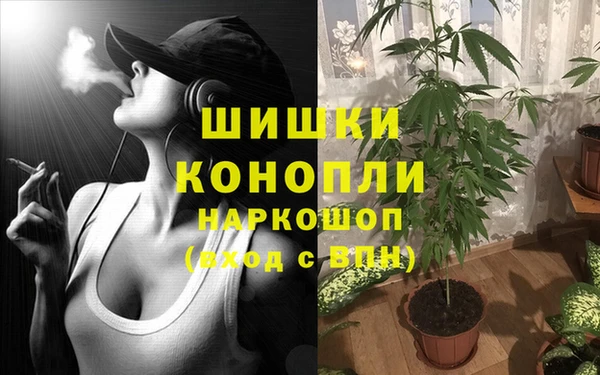 шишки Волосово