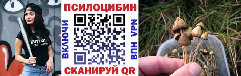 Купить  Миньяр  Галлюциногенные грибы GOLDEN TEACHER 
